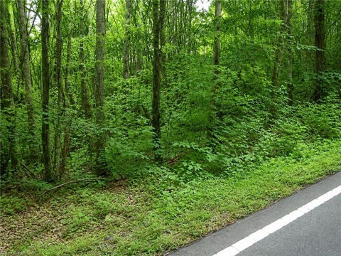 Vacant Land For Sale - Sheppard Mill Road<br/> Danbury, NC 27016