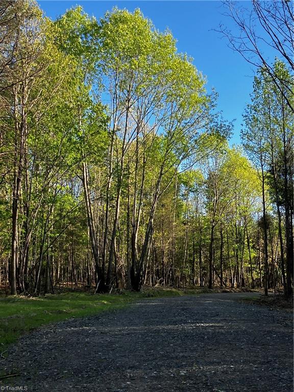 TBD Wyo Road, Yadkinville, North Carolina image 4