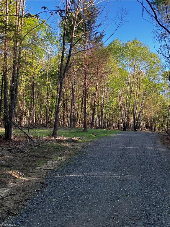 TBD Wyo Road, Yadkinville, North Carolina image 1
