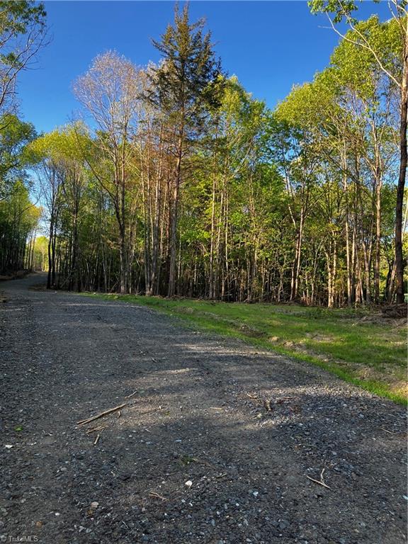 TBD Wyo Road, Yadkinville, North Carolina image 2