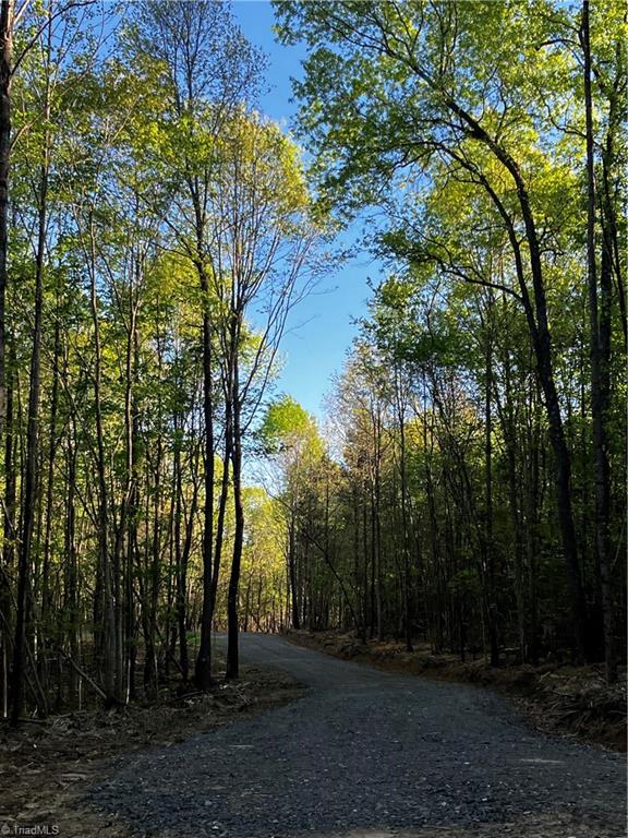 TBD Wyo Road, Yadkinville, North Carolina image 3