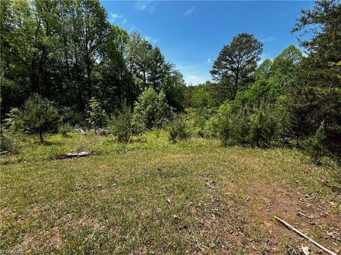 Vacant Land For Sale - 0000 Virgilina Circle<br/> Cana, VA 24317
