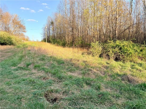 Vacant Land For Sale - 9076 Alleghany Lane<br/> Pilot Mountain, NC 27041