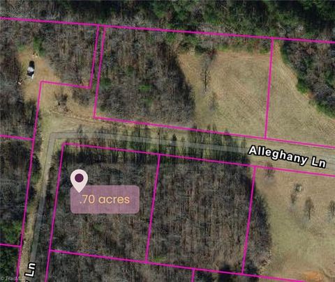 Vacant Land For Sale - 9076 Alleghany Lane<br/> Pilot Mountain, NC 27041