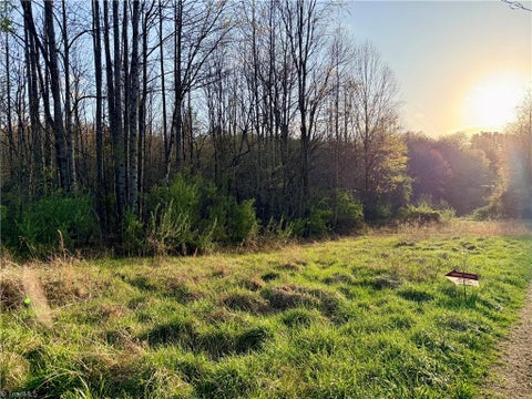Vacant Land For Sale - 9076 Alleghany Lane<br/> Pilot Mountain, NC 27041