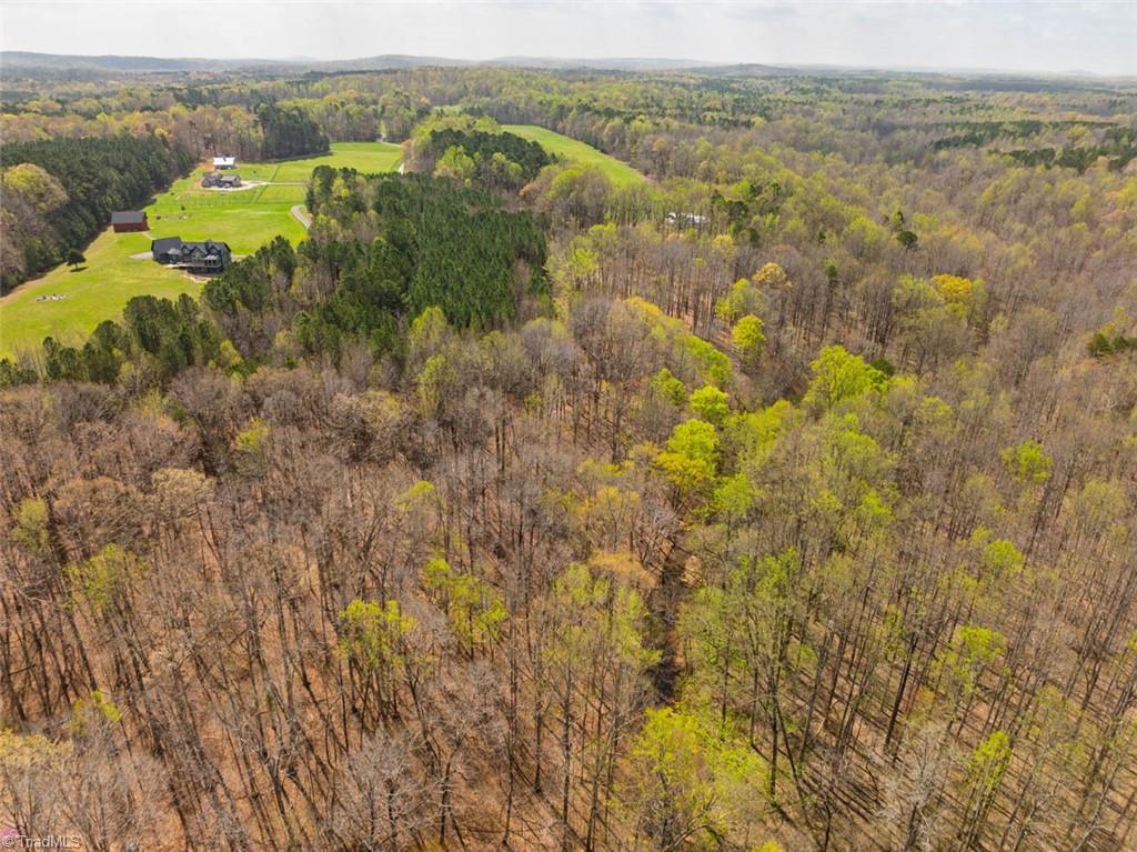 Apple Orchard Lane, Hillsborough, North Carolina image 9