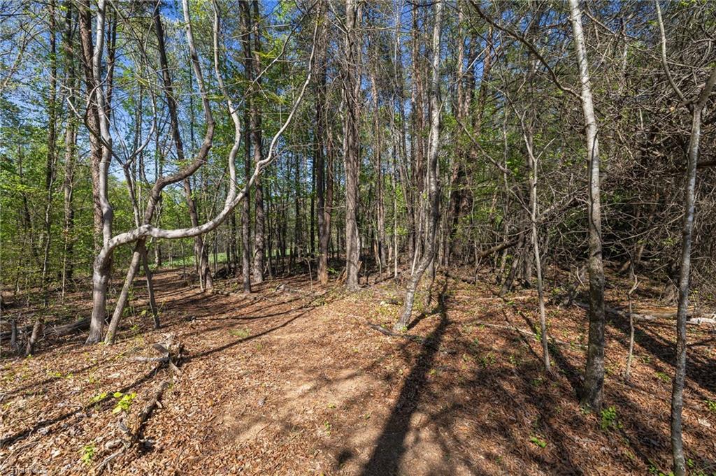 129 Kidd Road, Colfax, North Carolina image 38