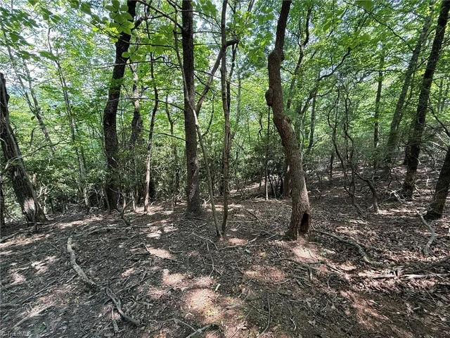 Lot 87 Mcintosh Drive, photo 5 of 14