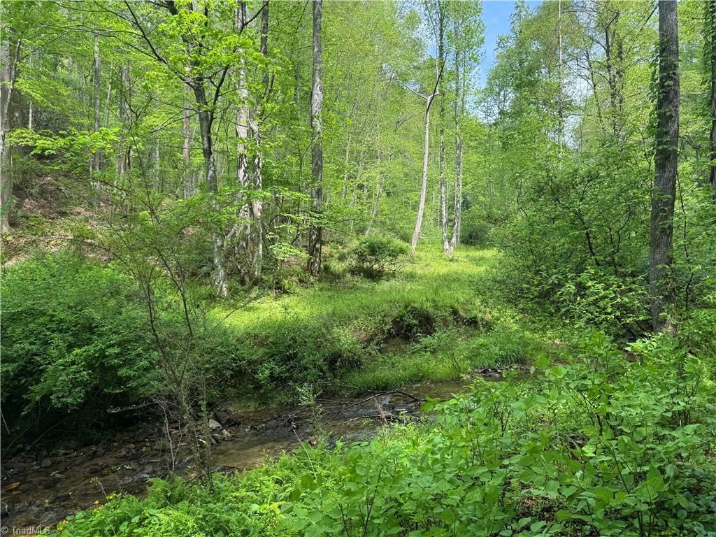 TBD Wildcat Road, Deep Gap, North Carolina image 10