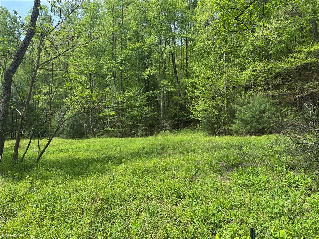 TBD Wildcat Road, Deep Gap, North Carolina image 5