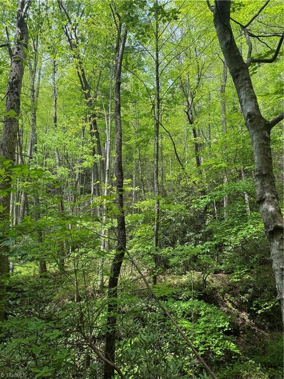 TBD Wildcat Road, Deep Gap, North Carolina image 17