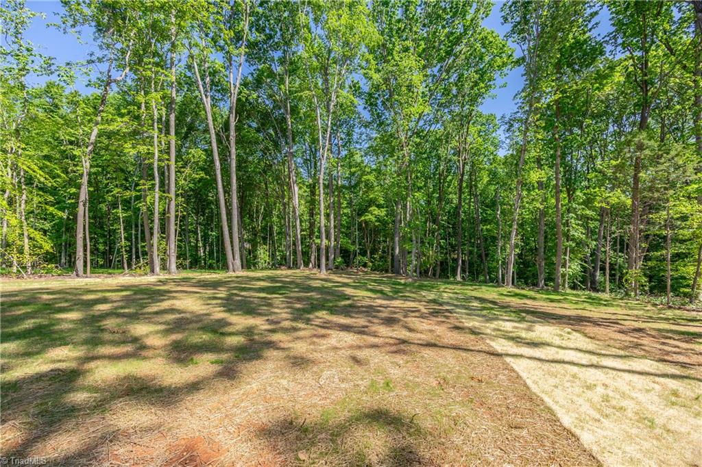 2991 Wesley Farm Lane, Sophia, North Carolina image 36