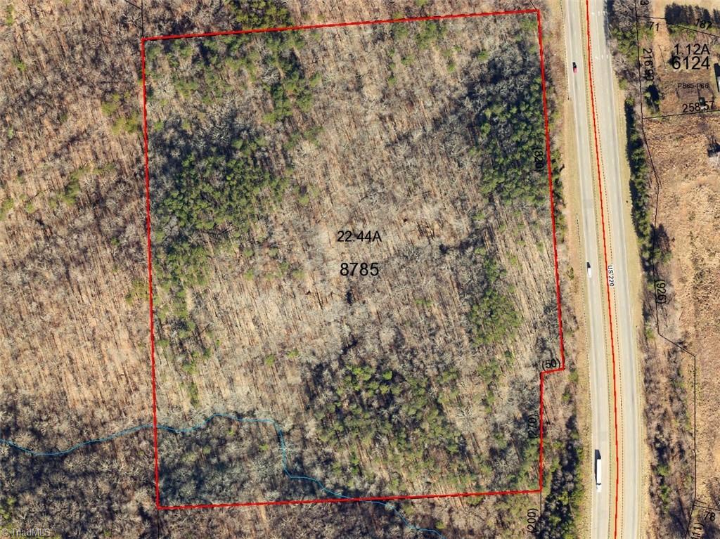 22.44 AC Paw Paw Road, Stoneville, North Carolina image 4