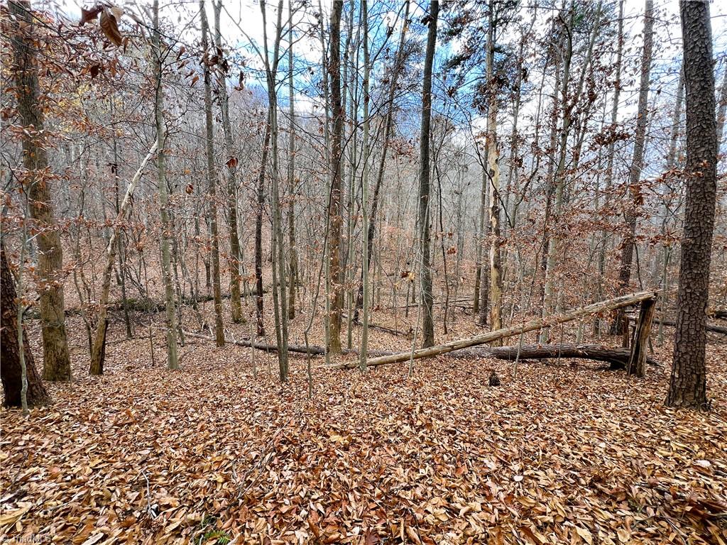 22.44 AC Paw Paw Road, Stoneville, North Carolina image 34