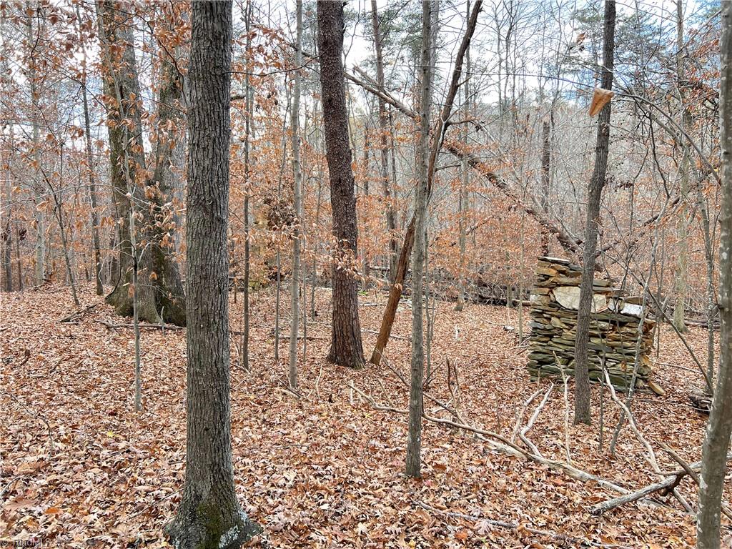 22.44 AC Paw Paw Road, Stoneville, North Carolina image 39