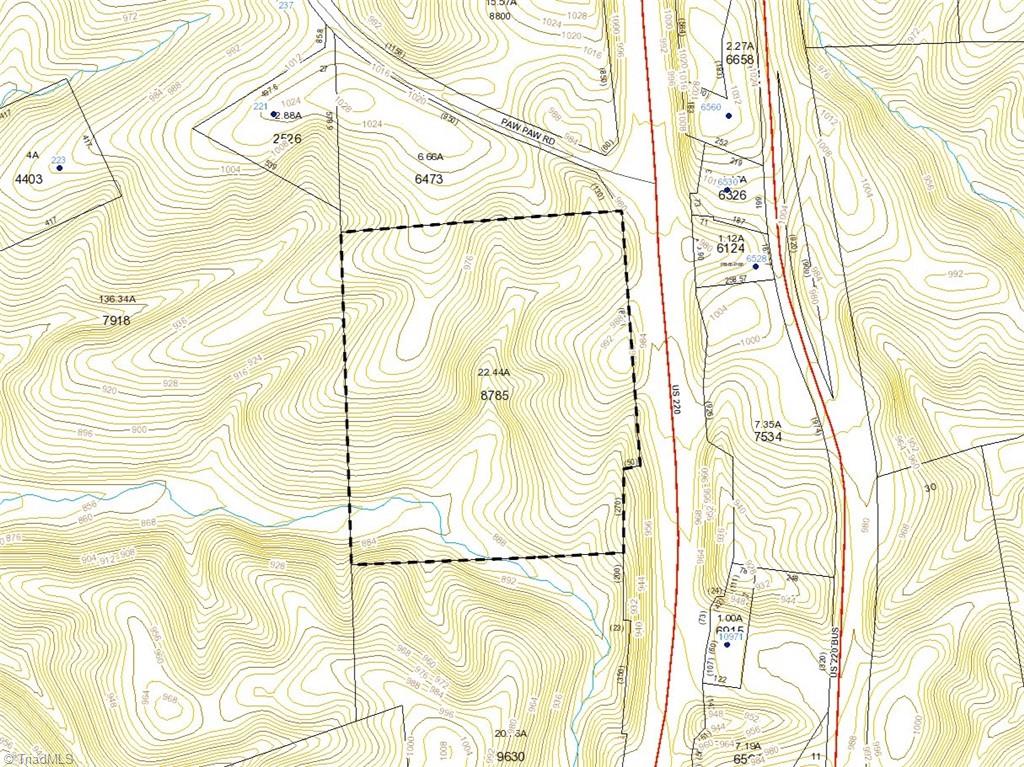 22.44 AC Paw Paw Road, Stoneville, North Carolina image 5