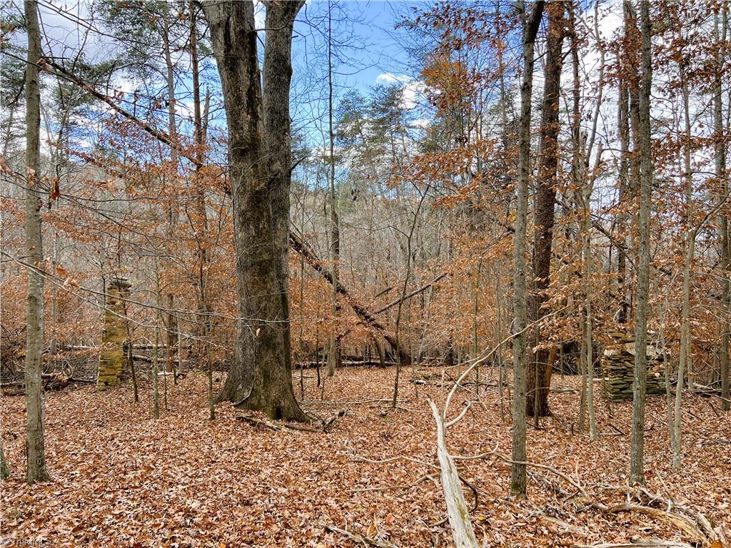 22.44 AC Paw Paw Road, Stoneville, North Carolina image 2