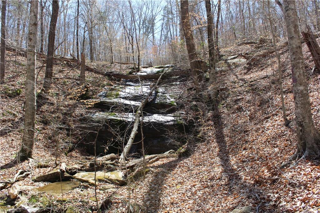 Jones Road, Reidsville, North Carolina image 18
