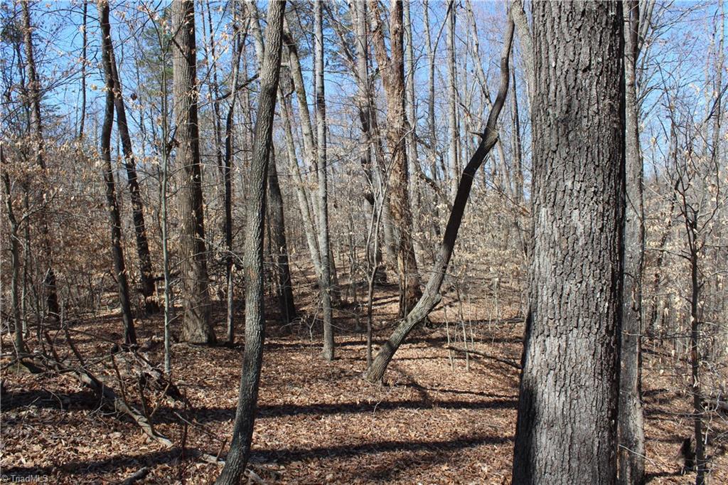 Jones Road, Reidsville, North Carolina image 14