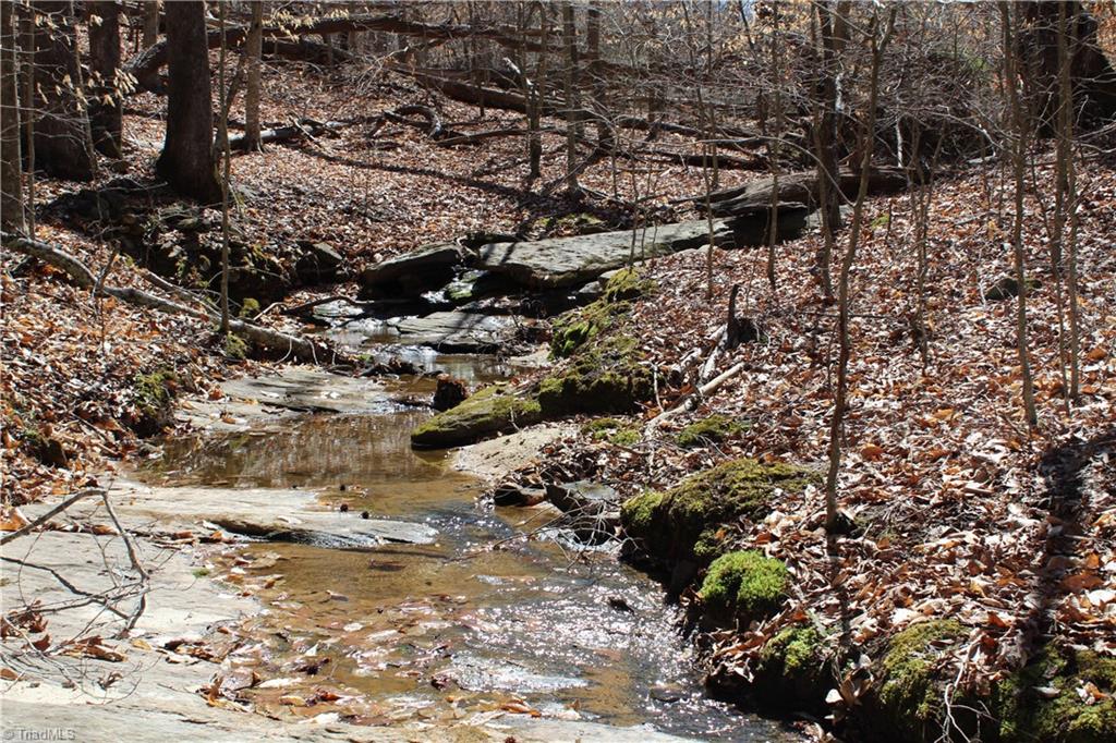 Jones Road, Reidsville, North Carolina image 10