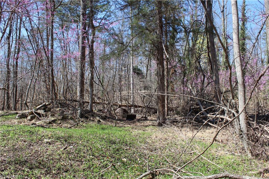 Jones Road, Reidsville, North Carolina image 27