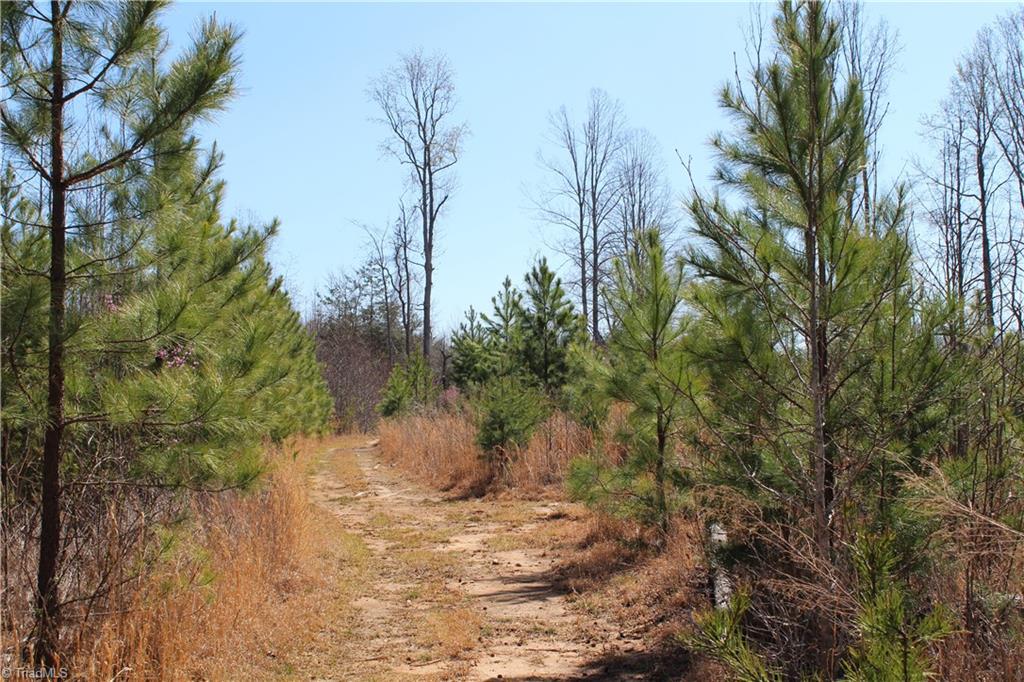 Jones Road, Reidsville, North Carolina image 2