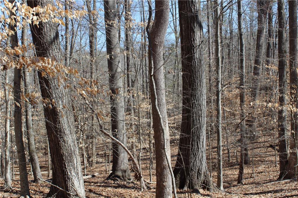 Jones Road, Reidsville, North Carolina image 3