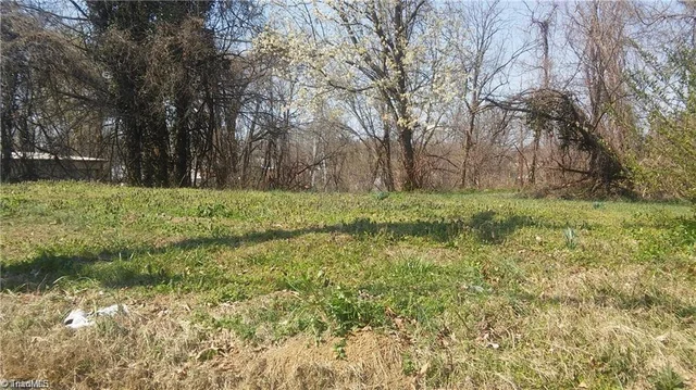 106 Carolina Avenue, photo 3 of 4