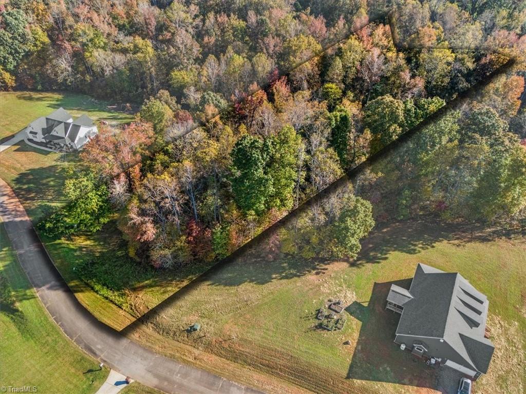 7104 Faucette Farms Drive, Browns Summit, North Carolina image 2