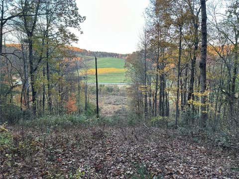 Vacant Land For Sale - 00 Balls Mill Road<br/> North Wilkesboro, NC 28659