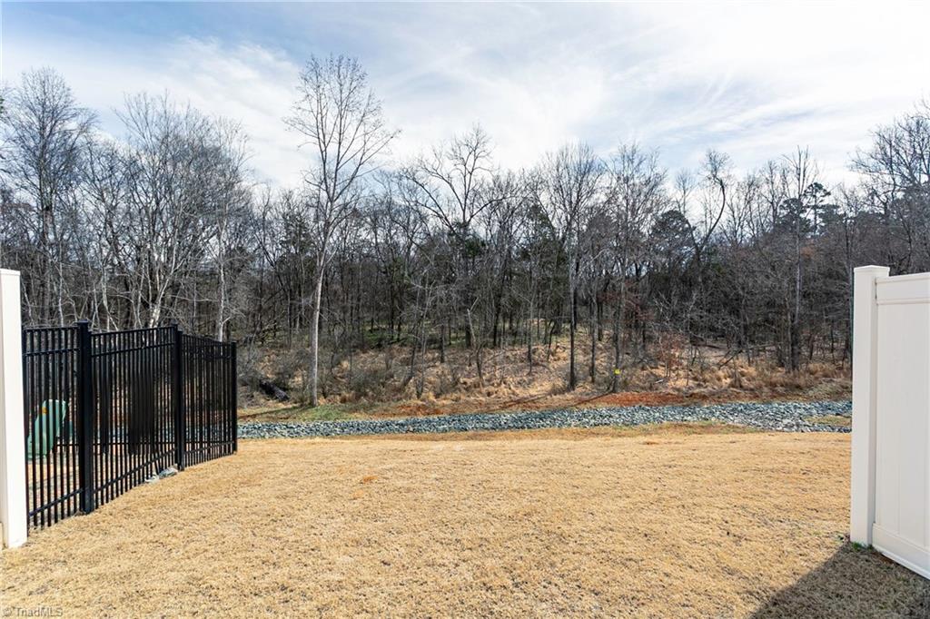 2313 Lily Drive, Haw River, North Carolina image 21