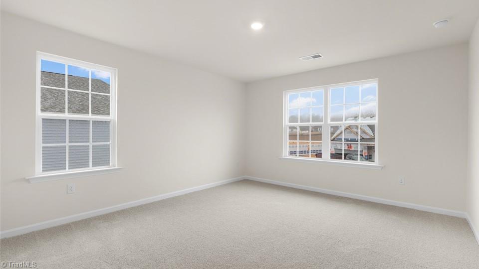 359 Willowbrooke Way, Stokesdale, North Carolina image 24