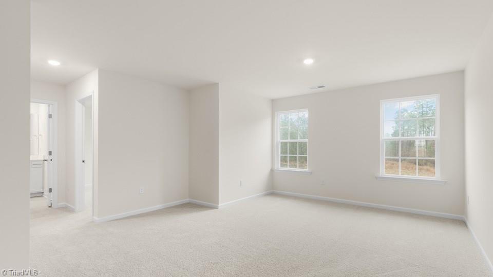 359 Willowbrooke Way, Stokesdale, North Carolina image 28