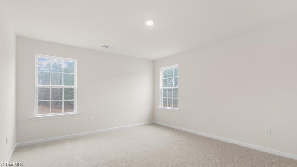 359 Willowbrooke Way, Stokesdale, North Carolina image 27