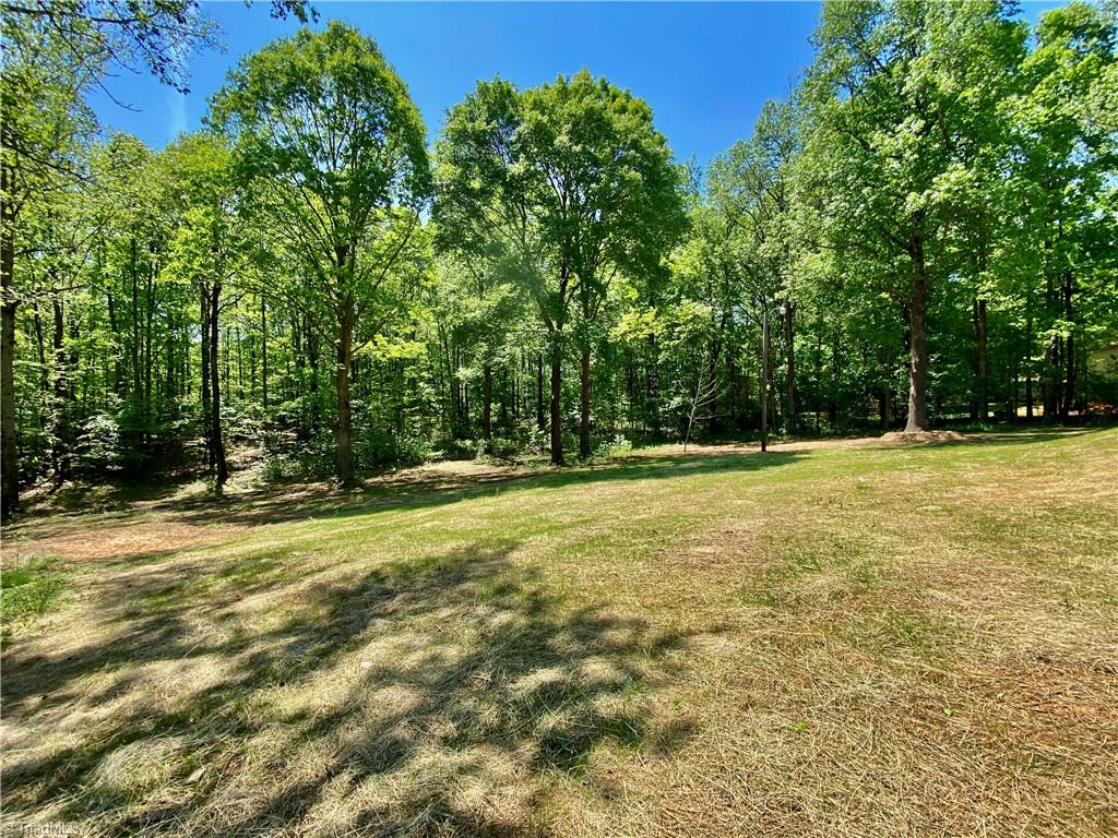 109 Bee Tree Lane, Salisbury, North Carolina image 9