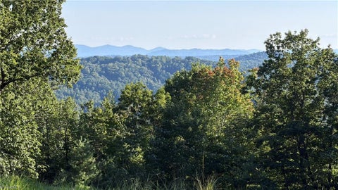 Vacant Land For Sale - 000 Carriage House Trail #LOT 157<br/> Wilkes County, McGrady, NC 28649