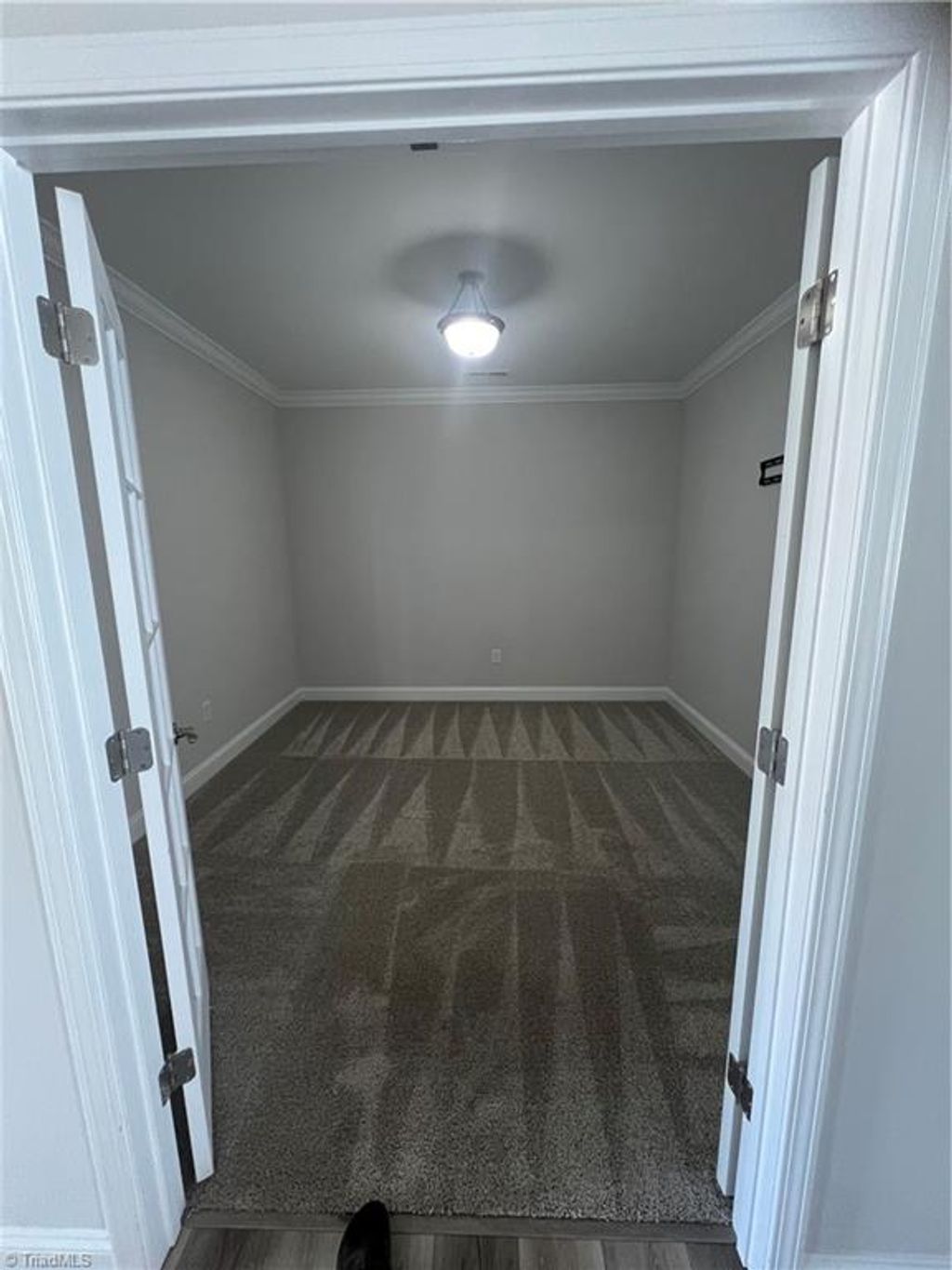Photo of 3729 Echo Forest Trail, High Point, NC 27265 (MLS # 1218666)