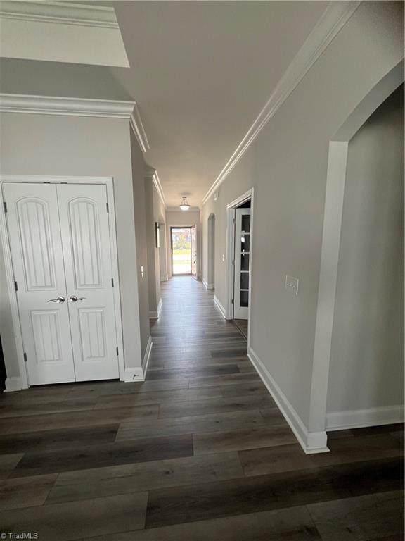 3729 Echo Forest Trail