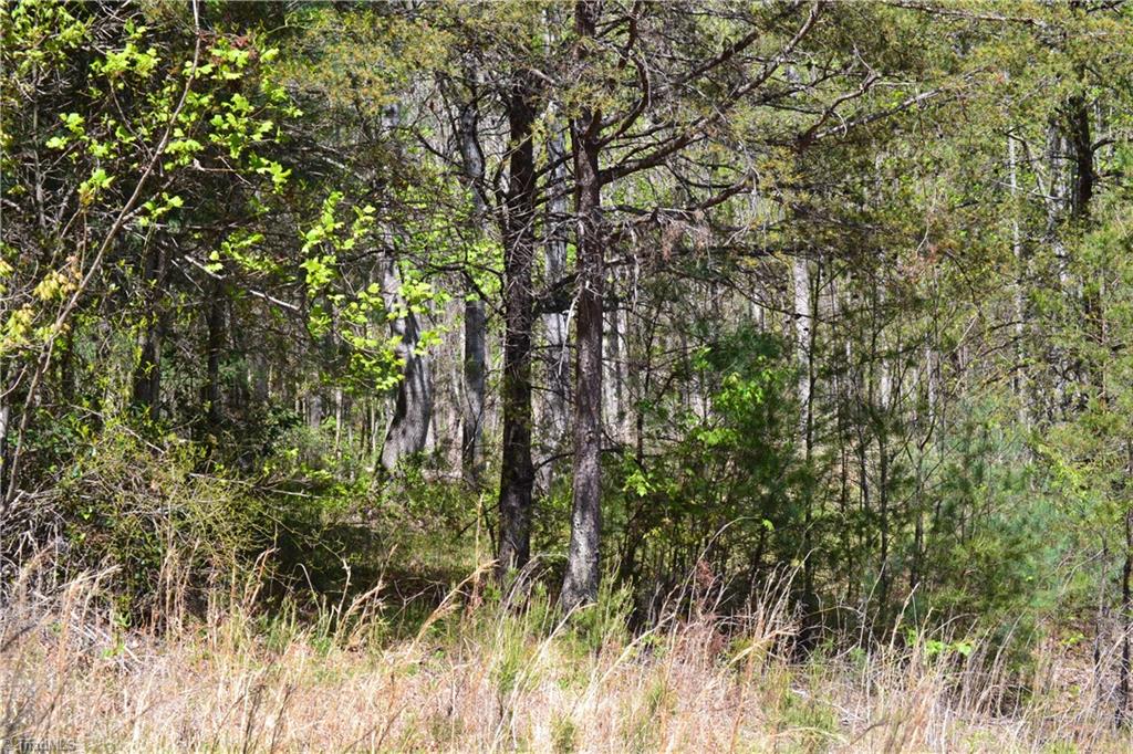 00 Swaringen Road, Traphill, North Carolina image 9