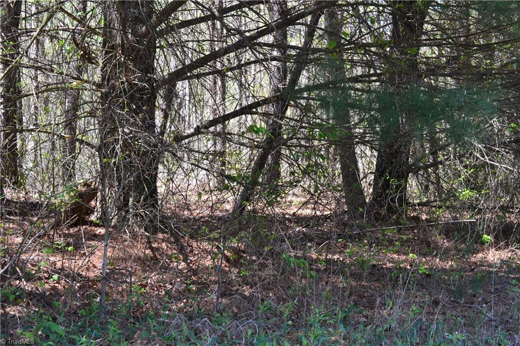 00 Swaringen Road, Traphill, North Carolina image 7