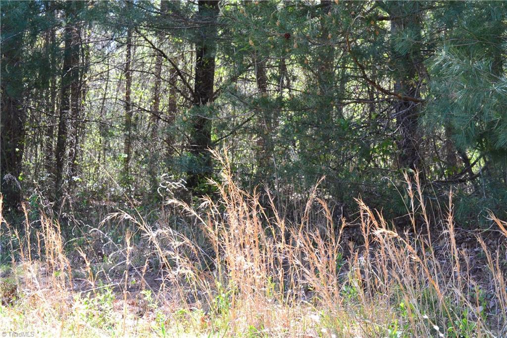 00 Swaringen Road, Traphill, North Carolina image 14