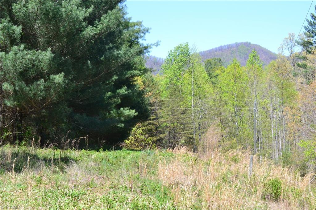 00 Swaringen Road, Traphill, North Carolina image 2
