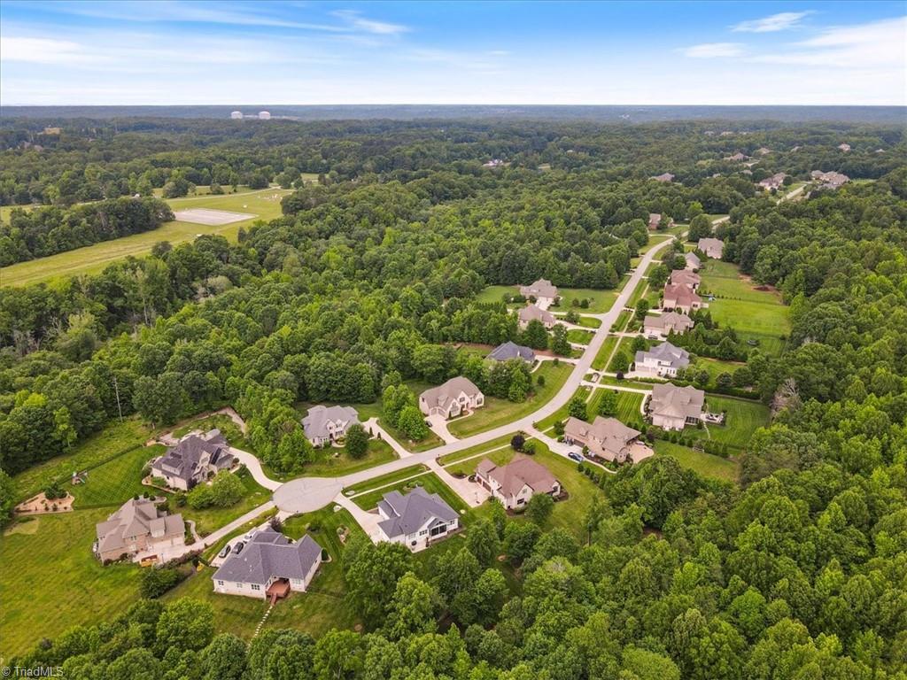 7296 Henson Forest Drive, Summerfield, North Carolina image 46