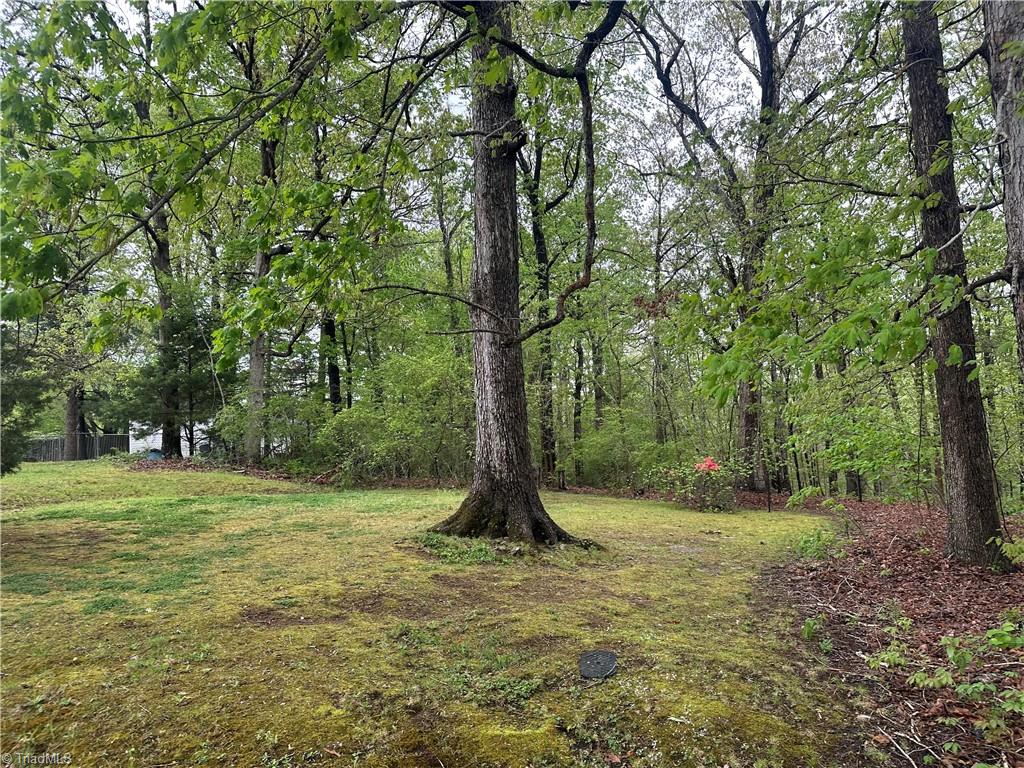 S Tremont Drive, Asheboro, North Carolina image 1