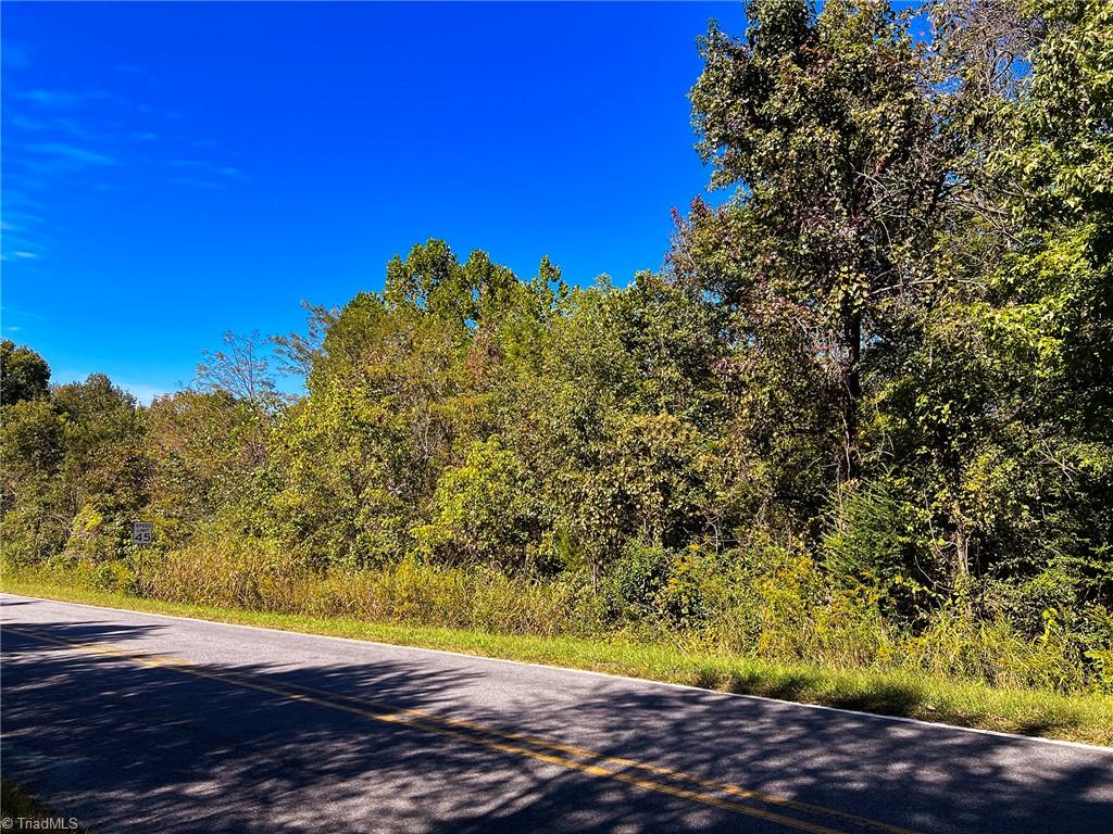 Walker Road, Elon, North Carolina image 7