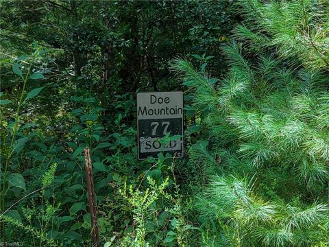 Vacant Land For Sale - 000 Antler Drive<br/> McGrady, NC 28649