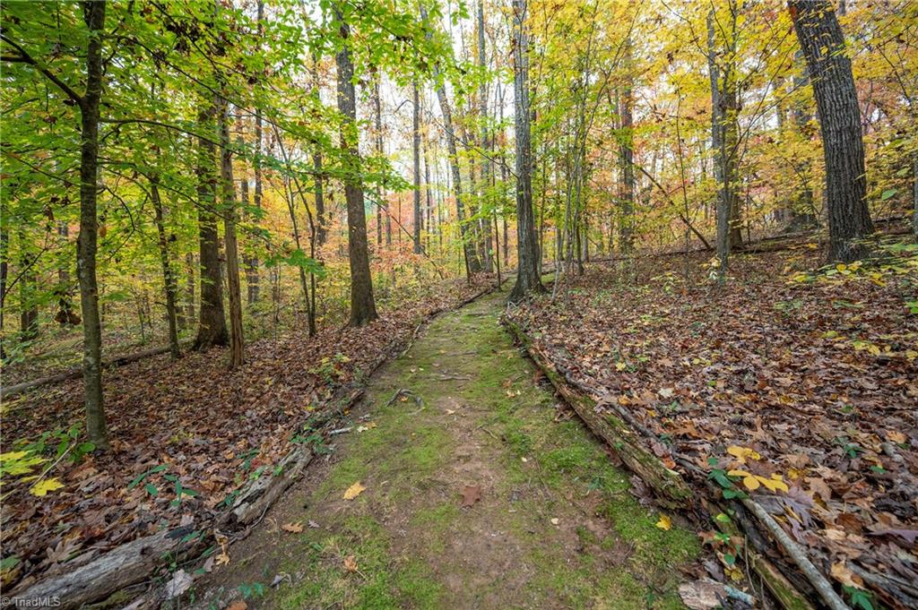 176 Forest Meadow Lane