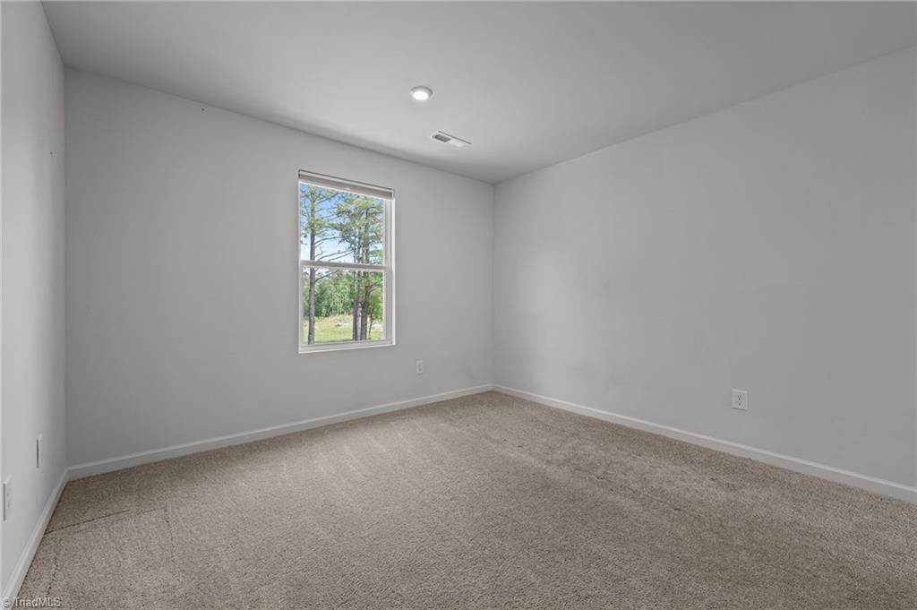 6007 Austin Falls Court, Liberty, North Carolina image 13