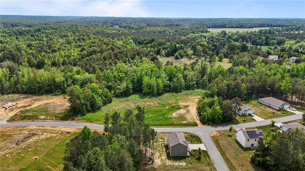 6007 Austin Falls Court, Liberty, North Carolina image 29
