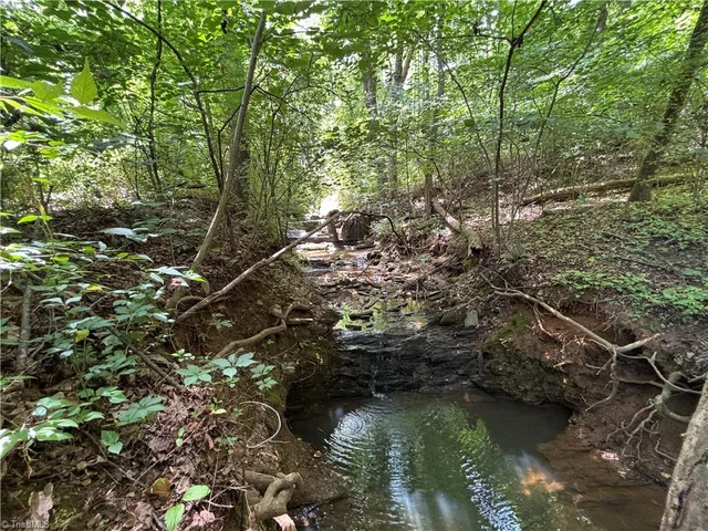 460 Greene Road, photo 4 of 49